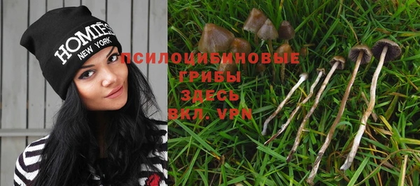МДМА Карпинск