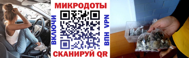 Псилоцибиновые грибы Cubensis  Купить где  Костерёво 
